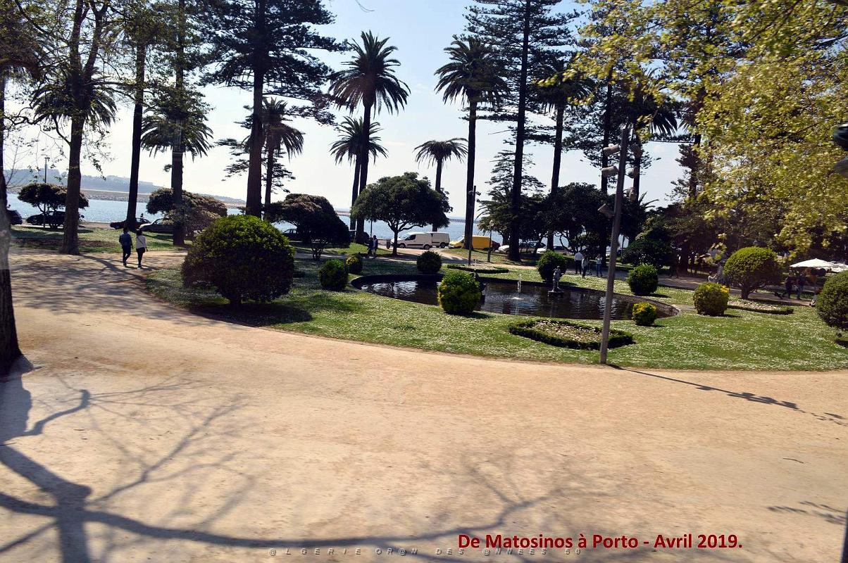 0792 - De Matosinhos a Porto.JPG